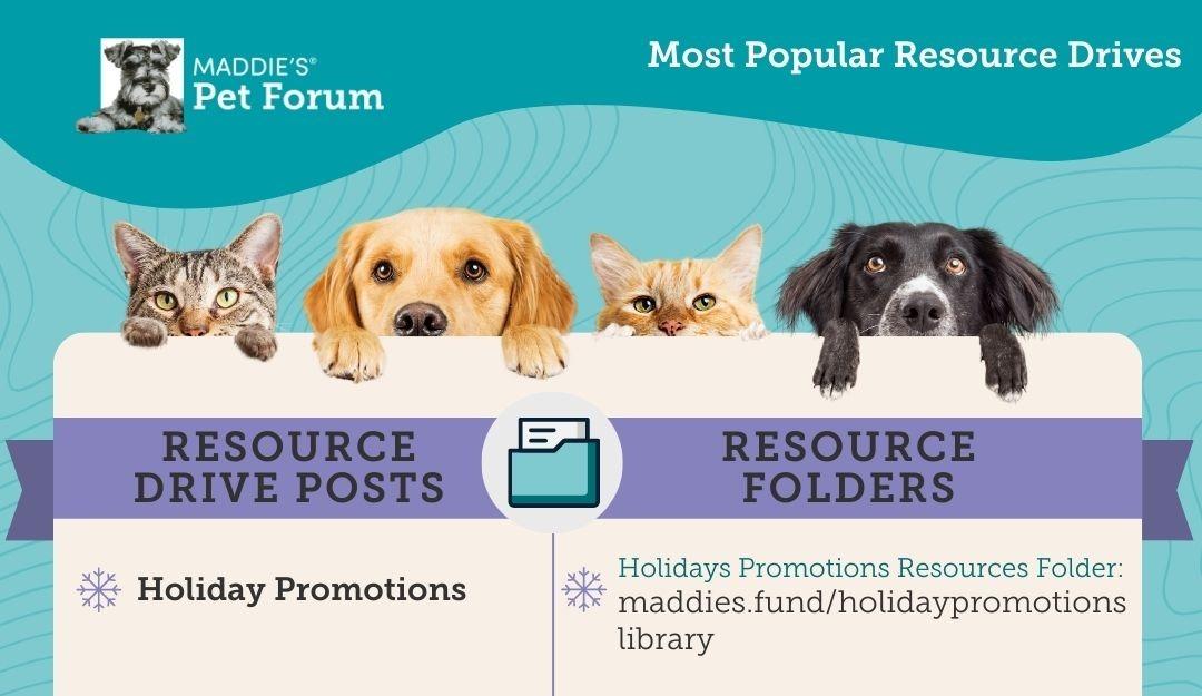 #1 - Holiday Promotions